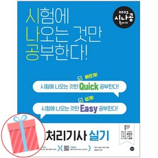 정보처리기사책