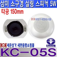 모델3스피커