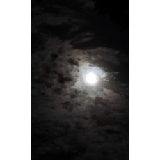 Moonlit Sky Journal Hardcover, Bunny 17 Media, English, 9781648521072