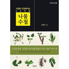 말린가지꼭지효능