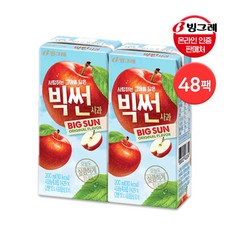 [빙그레] 빅썬 사과 200ml 48팩 / 과채음료, 빙그레 빅썬 사과 200ml ★48팩, 선택:빅썬 200ml 48팩