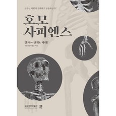호모사피엔스