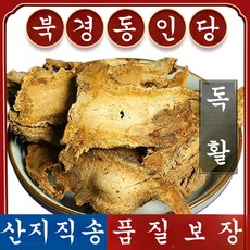 영진 동인당 독활 땅두릅 한방재료, 1봉, 500g