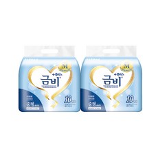 금비 플러스 팬티형 중형 성인용기저귀, 10개입, 2개