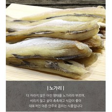 어물전총각 오징어 건어물 노가리 약800g 대용량진공포장/무료아이스박스&팩, 1팩, 800g