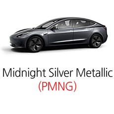 매직팁 테슬라 전차종, (PMNG)Midnight Silver M., 1개 - 테슬라페인트