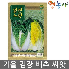 김장배추씨앗