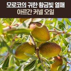 광동파인맥스