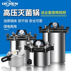 LICHEN 고압 증기 멸균기 고열 세척기 압력 살균기, DGS-280B  [자동] 24L