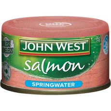 John West 존 웨스트 연어 템터스 스프링워터 통조림 95g 6팩, 6개