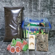 다우리아사슴벌레