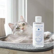 고양이블랙헤드