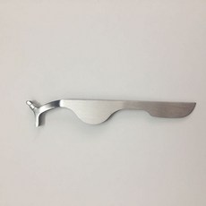 라네즈뷰러곡률