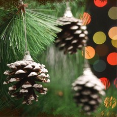 x-mas 눈꽃 솔방울 크리스마스트리 장식 6p 20개 트리꾸미기, 1개, 기본값, 기본값