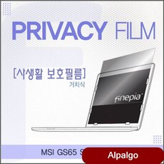 MSI GS65 Stealth 9SG 거치식 정보보호필름 보안기 가방 저반사 amli, 단일 색상