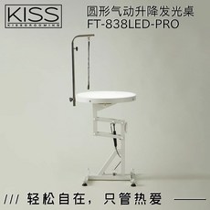 강아지 미용 조명 테이블 사각 애견 고양이 리프팅, FT-838 LED 조명 원탁 (밝기 조절), 1개