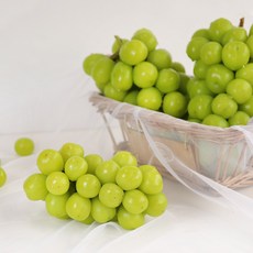 상주 팔음산 고당도 프리미엄 샤인머스캣 화동 보미리 포도 당도보장, 1박스, 4kg(5-6수)