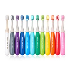 더트웰브 토들러 유아 칫솔, 비비드, 12개입, 1세트