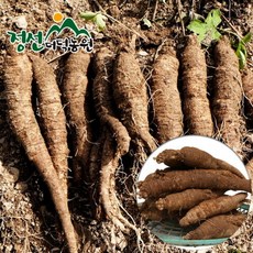 기타 [정선더덕농원] 6년근 생더덕 1kg (대-25뿌리내외), 1개