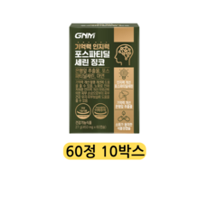 GNM자연의품격 기억력 인지력 포스파티딜세린 징코 / PS 은행잎추출물 두뇌건강, 5정, 120개