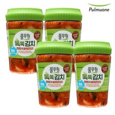 김치톡톡