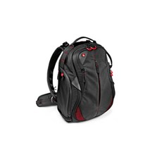 맨프로토범블비