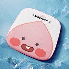 카카오프렌즈쿨매트