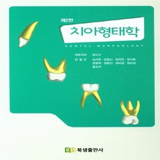 NSB9791188516131 새책-스테이책터 [치아형태학]-제2판-북샘-임도선 외 지음-기초 치과학-20180228 출간-판형 188x257(B5), 치아형태학