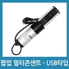 (주)위너스 팝업 빌트인 매입콘센트 - USB타입, 1개