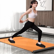 다노밸런스쿠션
