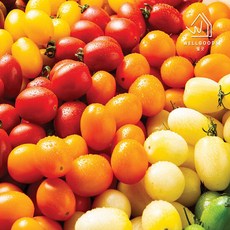 컬러방울토마토