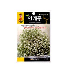 안개꽃 씨앗 꽃씨종자(3g) MK256