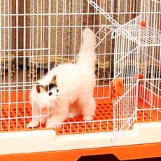 봉봉펫닷컴 고양이 빌라케이지 하우스, 핑크, 1개