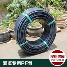 1ab82a0836d9ebce15ec5817eef521e86156928b25687a4711d04fac3e8b.jpg