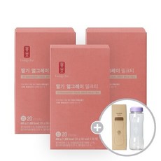 공차 딸기 얼그레이 밀크티 3개세트 아령보틀, 20g, 60개