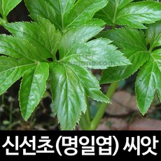 d7a8ed7687c8c7c9a66538055caaed36e6adb881bd815e6ad9c0e57a0eec.jpg