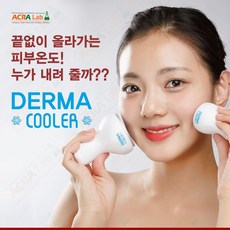 [오멜론] 아크라랩 더마쿨러 DERMA COOLER 아이스쿨러 페이스 멀티 더마롤러 MTS롤러 MTS홈케어 메조롤러 닥터롤러 더마스탬프 모공스탬프 피부진정, 페이스(66g), 1개