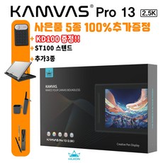 휴이온캄바스13