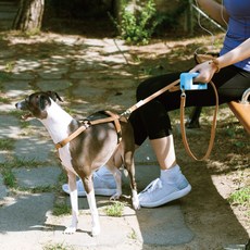  웍웍 스트랩 핸즈프리 멀티 강아지 리드줄 산책줄 베이비블루 