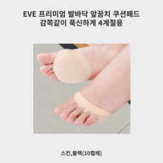 여성구두쿠션