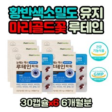 수험생음식책