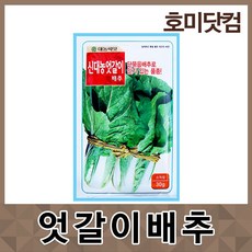 호미닷컴 신대농 엇갈이 배추 30g 김장 씨앗