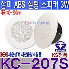모델3스피커