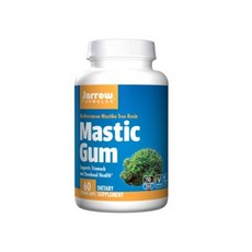 추천8masticgum