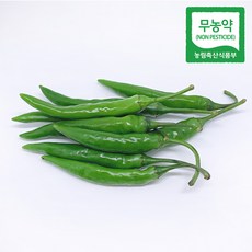 [맑은참]친환경 무농약 청양고추 100g, 단품