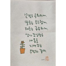 광목자수토시