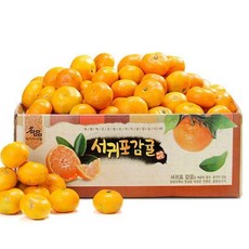  2024년 나영이네농장 비가림 하우스귤 레드향 감귤 2.5kg 4.5kg 9kg 소과/로얄과/중대과 외 실중량 비가림 하우스귤 4.5kg(L~2L)-중과(실중량) 1개  상품 이미지