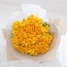 (생화) 후리지아 프리지아 꽃다발 결혼 기념일 생일 선물 전국 어디든 꽃배달