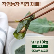 케일장아찌-추천-상품