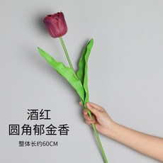 037f313c681dc15293ce30f049c94f8575f236e8e5e13e05398df9addfc6.jpg